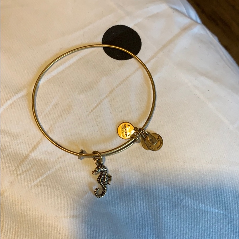 Good Alex & Ani